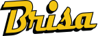 Brisa Solucoes Empresariais Ltda
